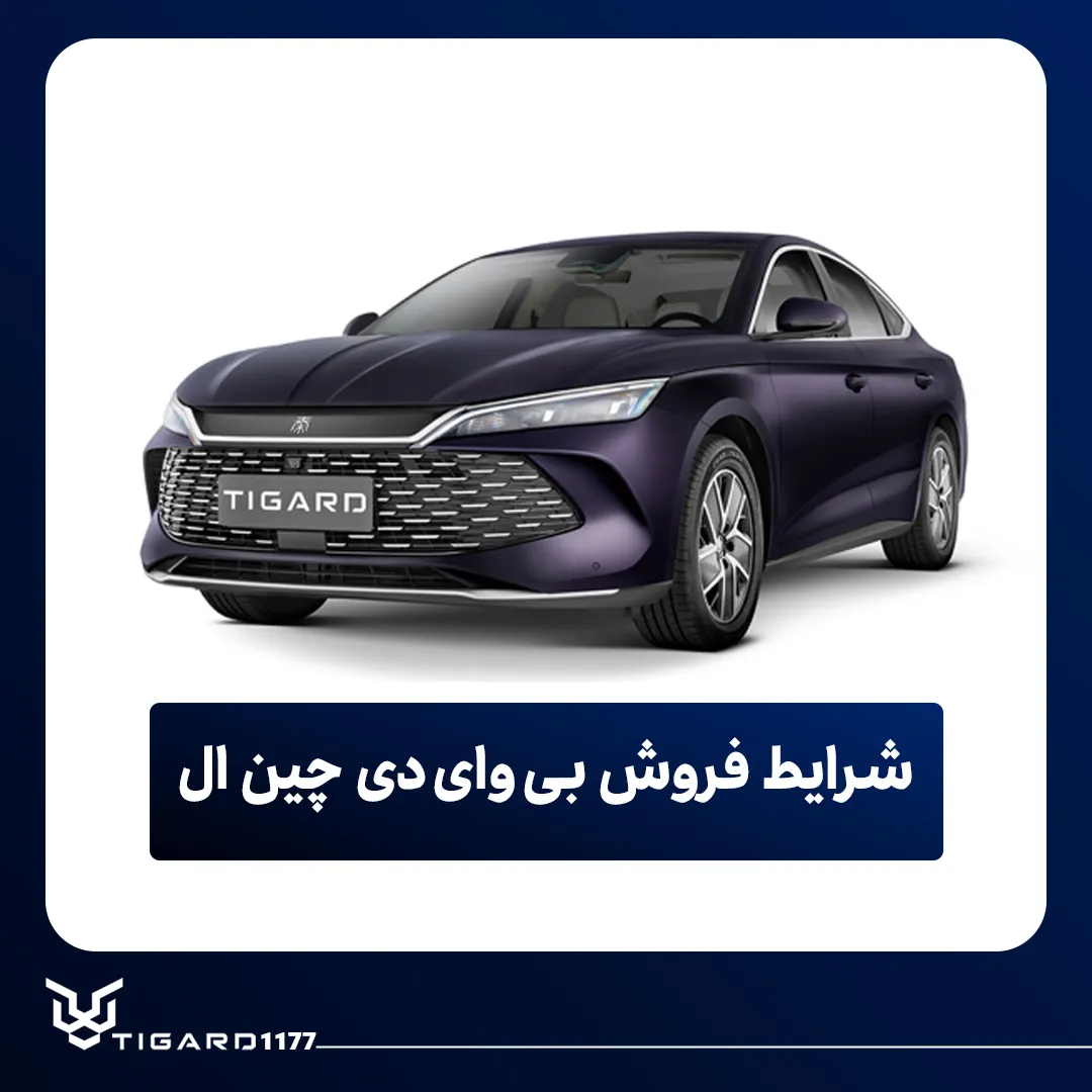 بی وای دی چین ال